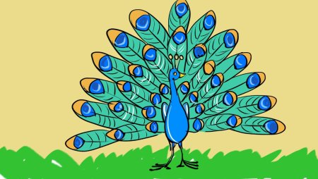 Павлин рисунок для детей