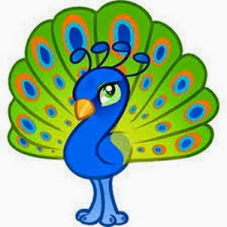 Павлин для детей