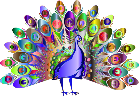 Хвост павлина для детей