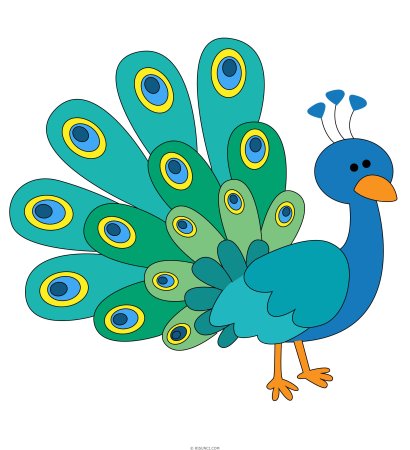 Павлин для детей