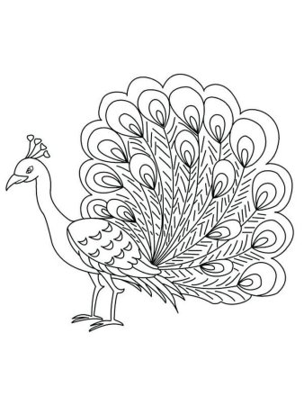 Жар птица раскраска для детей