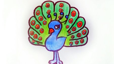 Рисование Павлин средняя группа