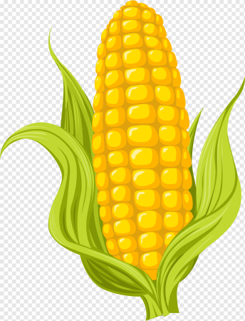 Кукуруза Corn