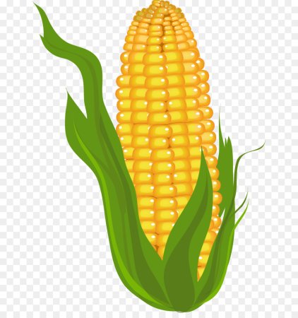 Corn для детей