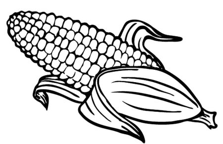 Початок кукурузы раскраска