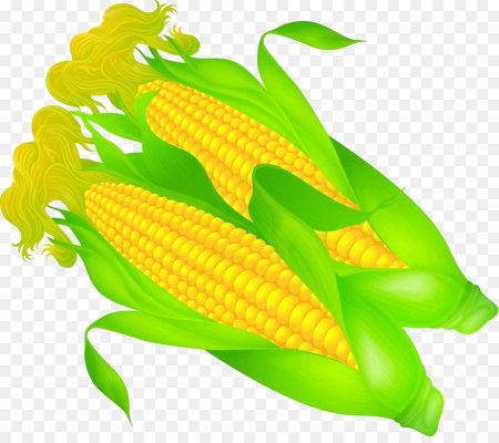 Кукуруза фри