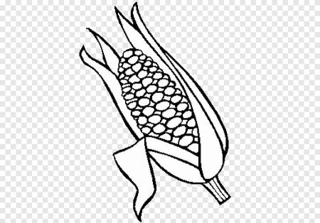Початок кукурузы раскраска