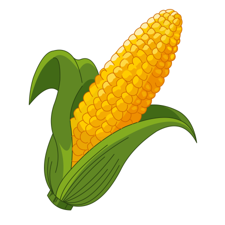 Рисунок кукурузы карандашом