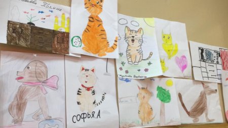 Выставка рисунков домашних животных