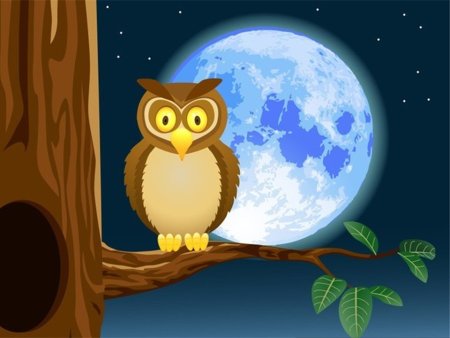 Сова в дупле рисунок для детей