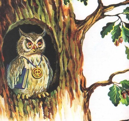 Сова живет в дупле