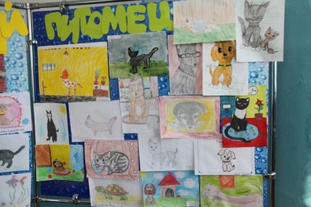 Выставка рисунков домашних питомцев
