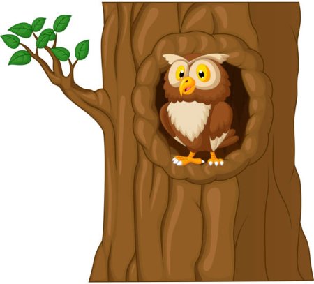 Сова в дупле дуба
