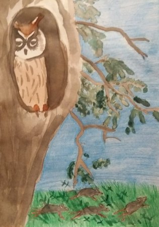 Произведение Виталия Бианки Сова