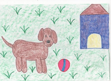 Рисование домашних питомцев