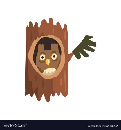 Дупло для детей на прозрачном фоне