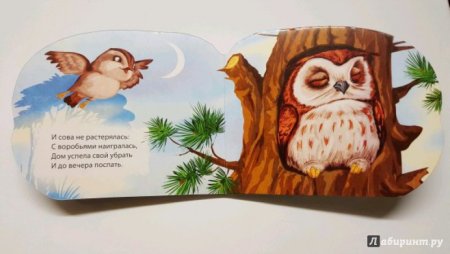 Сказка про сову для детей