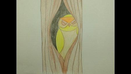 Сова в дупле карандашом