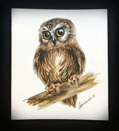 Сова цветными карандашами детские