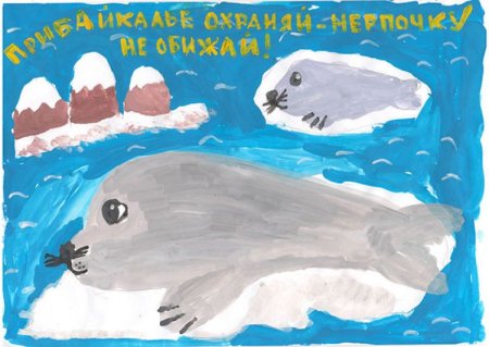 Рисование в старшей группе Байкальская Нерпа