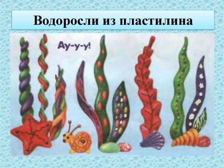 Водоросли рисунок