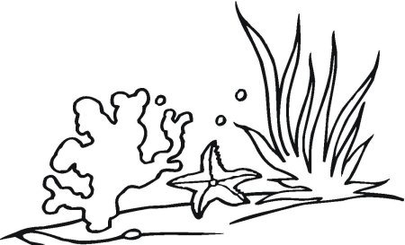 Раскраска морские водоросли