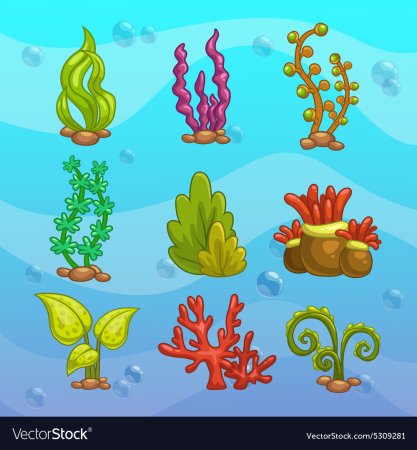 Морские растения для детей