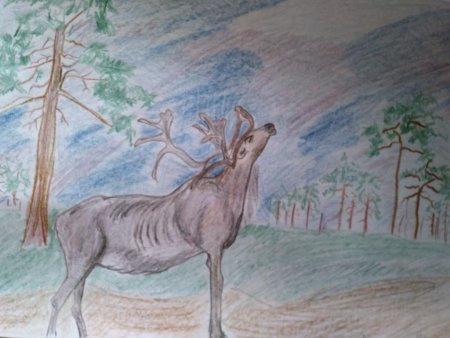 Рисунок природа родного края Якутия