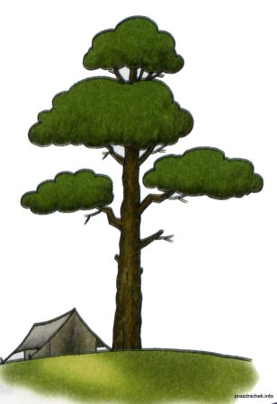 Рисование сосны