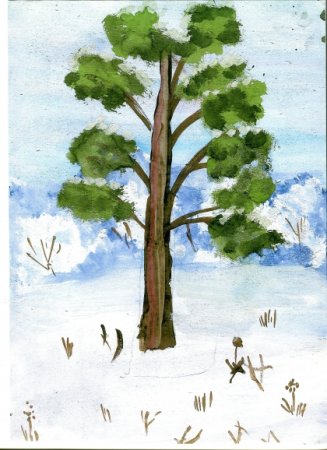 Нарисовать сосну поэтапно