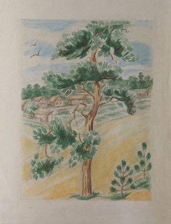 Хвойные деревья задания для дошкольников