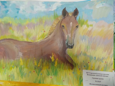 Природа Донского края рисунки