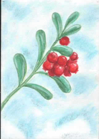 Веточка клюквы