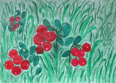 Брусника раскраска для детей