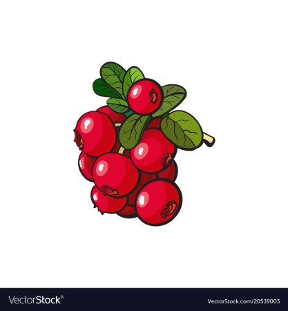 Набор для вышивания крестом дары природы