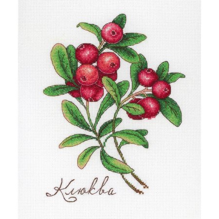 Клюква раскраска