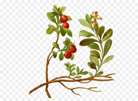 Инна Кузубова художник зима