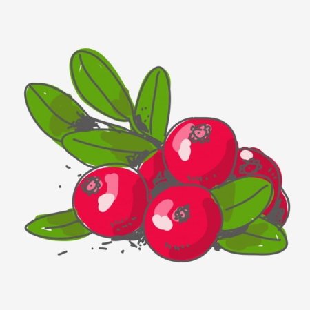 Клюква мультяшная