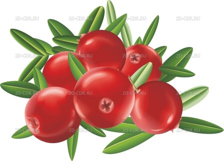 Клюква мультяшные
