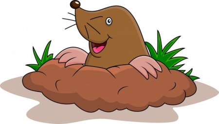 Крот для детей