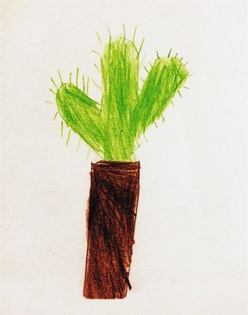 Проективная методика Панфиловой Кактус