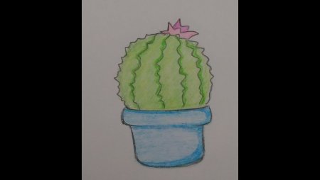 Кактус детский рисунок