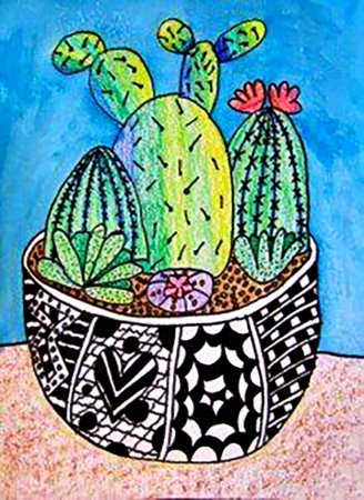 Кактус Сан Педро мульт