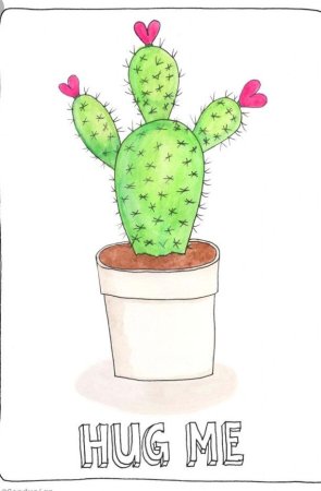 Кактус в горшке рисунок