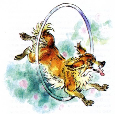 Каштанка в цирке