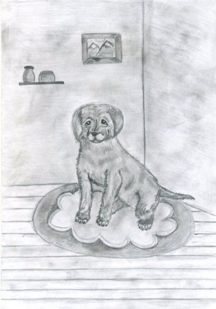 Белолобый Чехов собака