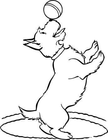 Антон Чехов каштанка для срисовки