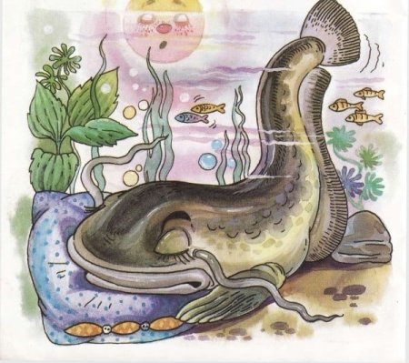 Рисунок сома