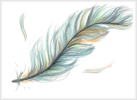 Перья детские рисунки