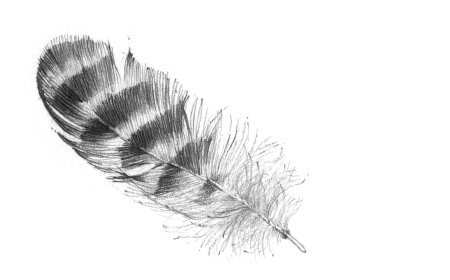 Перо для раскрашивания